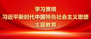 骚妇日逼学习贯彻习近平新时代中国特色社会主义思想主题教育_fororder_ad-371X160(2)